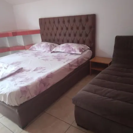 Hostel Pensiunea Florentina