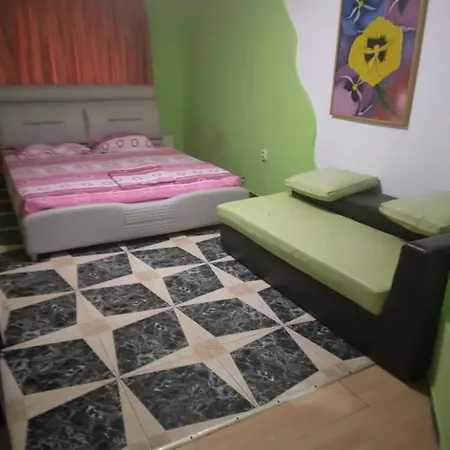 Hostel Pensiunea Florentina *