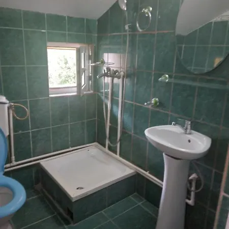 Pensiunea Florentina Hostel *