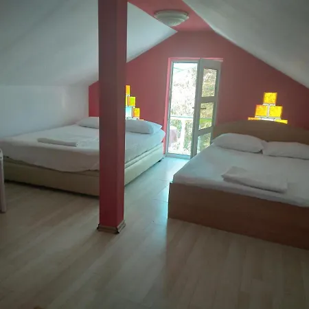 Pensiunea Florentina Auberge de jeunesse Costinesti