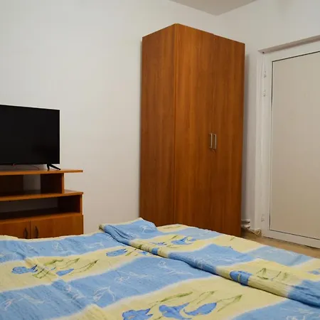 Hostel Pensiunea Florentina *
