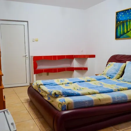 Pensiunea Florentina Hostel