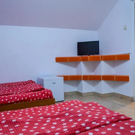Hostel Pensiunea Florentina