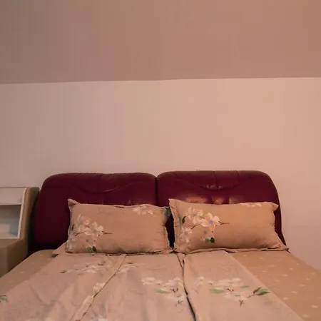 Pensiunea Florentina Hostel Costinesti