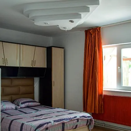 Hostel Pensiunea Florentina *