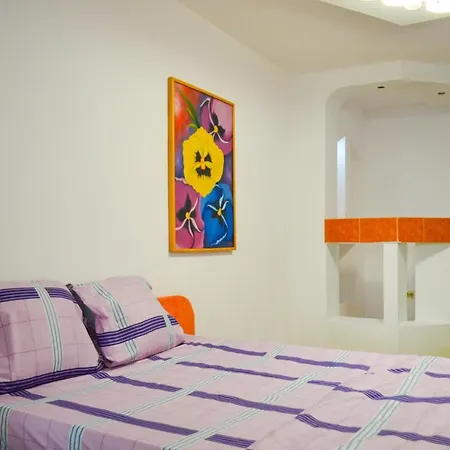 Pensiunea Florentina Hostel