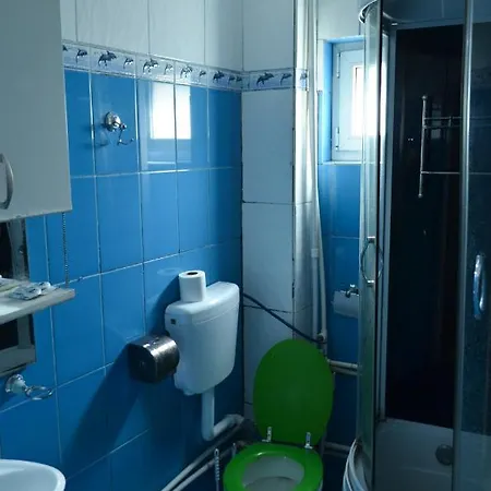 Auberge de jeunesse Pensiunea Florentina *